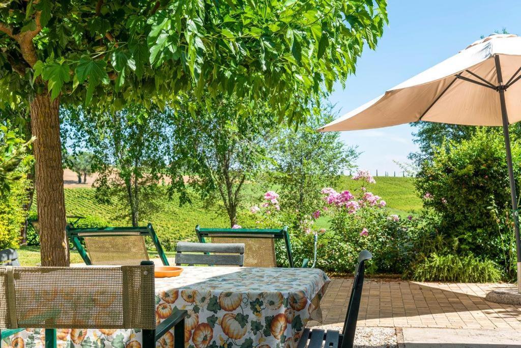 Vigna Sant' Amico Country House Morro d'Alba Bagian luar foto