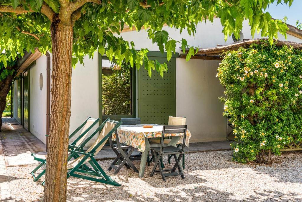 Vigna Sant' Amico Country House Morro d'Alba Bagian luar foto