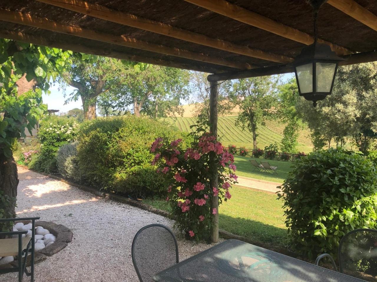 Vigna Sant' Amico Country House Morro d'Alba Bagian luar foto