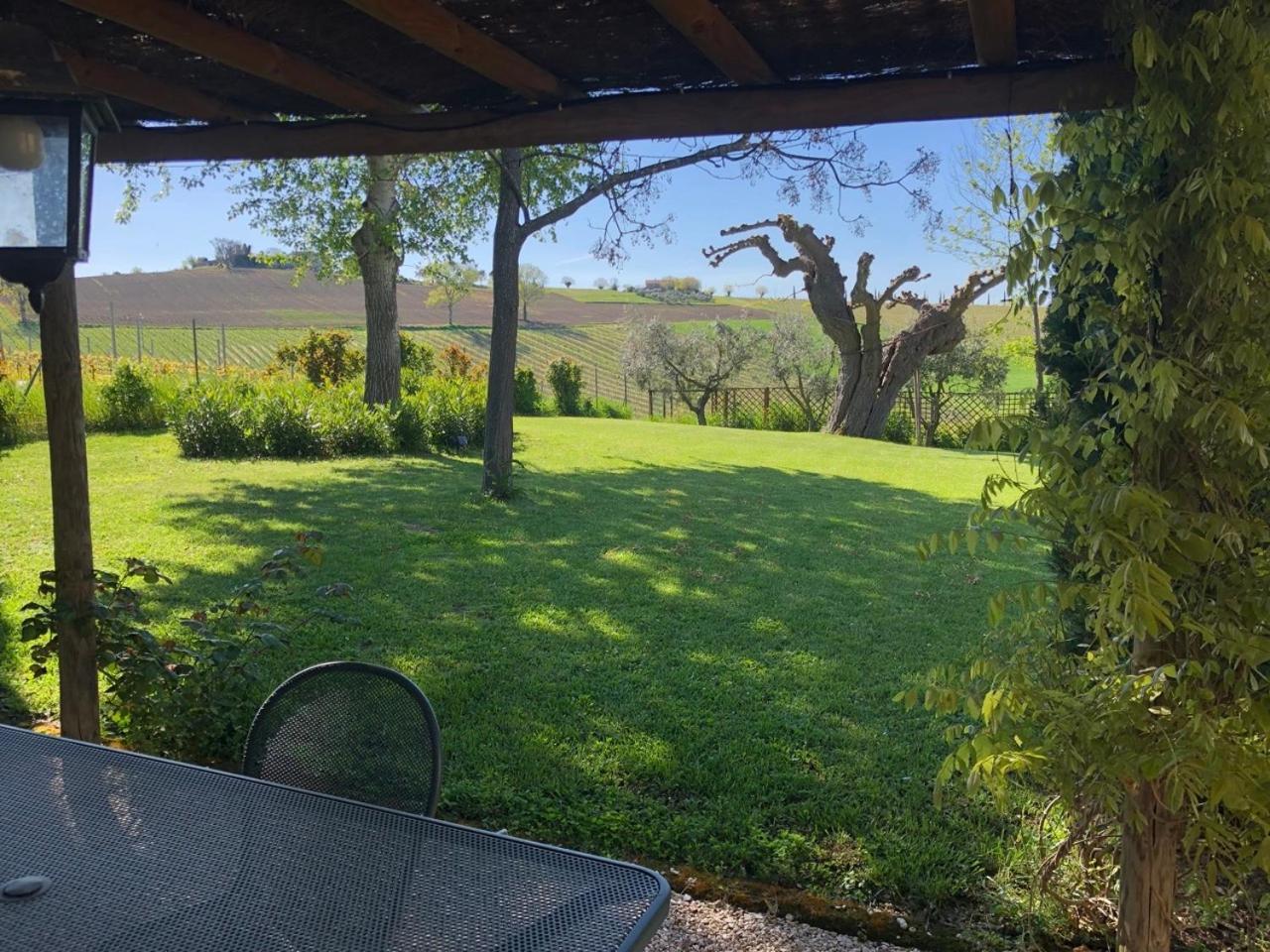 Vigna Sant' Amico Country House Morro d'Alba Bagian luar foto