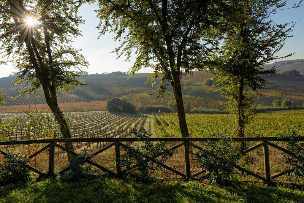 Vigna Sant' Amico Country House Morro d'Alba Bagian luar foto