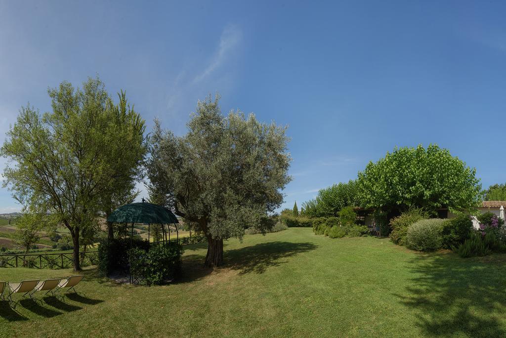 Vigna Sant' Amico Country House Morro d'Alba Bagian luar foto